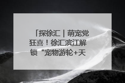探徐汇｜萌宠党狂喜！徐汇滨江解锁“宠物游轮+天台乐园”双玩法